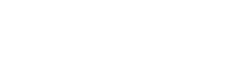 The Wedding Day